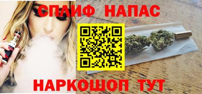 стаф Новокубанск