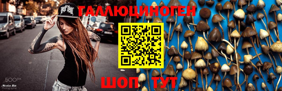 Псилоцибиновые грибы Magic Shrooms  цена наркотик  Вятские Поляны  Вход с VPN 